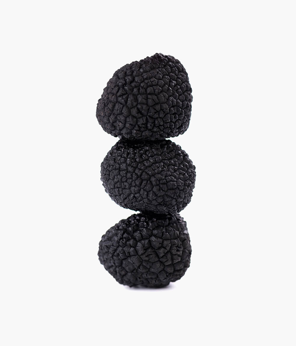 Ganzer schwarzer Trüffel Zigante Ganzer schwarzer Trüffel Zigante